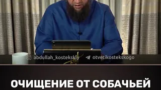 Очищение от собачьей слюны. Шейх Абдуллах Костекский