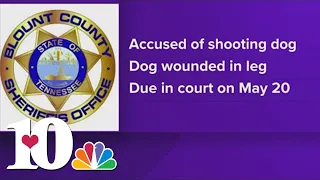 Maryville man charged with shooting neighbor's dog with BB gun