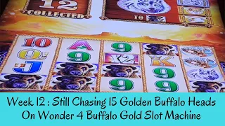 Week 12 : STILL CHASING 15 GOLDEN BUFFALO HEADS ON WONDER 4 BUFFLA GOLD SLOT - SunFlower Slots