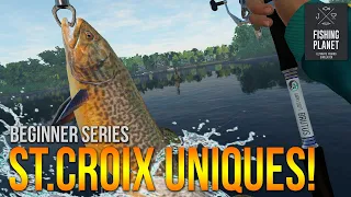 [Lvl.42] GIANT Brown & Tiger Trout! + 1 BIG Kitty at St. Croix | Fishing Planet