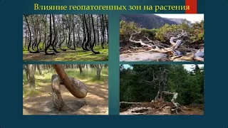 Геопатогенные зоны, как определить?