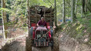 Massey Ferguson 3060  ve diğer traktörler Ster odun yükleme çekme işlemleri KURUDERE/KARASU