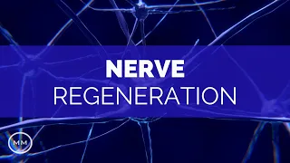 Nerve Regeneration - Repair Nerve Connections / Activate Growth - Binaural Beats - Meditation Music