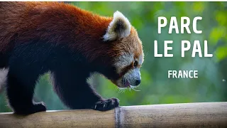 🇫🇷 LE PAL PARC, FRANCE 2023 | TOUR COMPLET | ZOO | PARC D’ATTRACTIONS | UNE JOURNÉE AU PARC