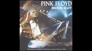 Pink Floyd - Shine On You Crazy Diamond - Hamburg 16/06/1989 (Amity 025)