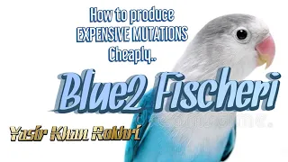 How to Produce Expensive Mutations Cheaply | Blue2 Fischeri