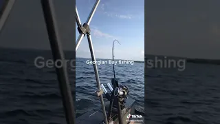 Georgian Bay Fishing Followers