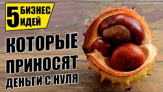 ТАКИЕ БИЗНЕС ИДЕИ БЫСТРО ОКУПАЮТСЯ! Топ-5 Бизнес идей! Бизнес 2021!