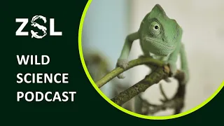 ZSL #028 What's next for rewilding?