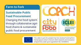 Sustainable food systems through public food procurement and collaborative agri-food chains