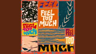 Feel Too Much