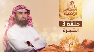 نبيل العوضي | قصة الشجرة التي نهى عنها آدم عليه السلام