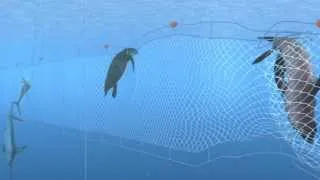 How Seafood is Caught: Gillnetting