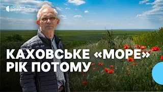 «Природа — як мільйони років тому» Еколог про колишнє Каховське водосховище за рік після підриву ГЕС