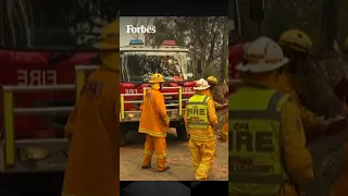 Flames devour forests and force people to flee in Australia
