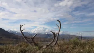 Alaska - The Last Frontier [HD]