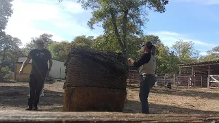 Reality of Using a Hay net on a round bale - What its like to put one on without using equipment