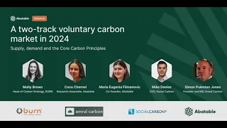 Webinar: A two-track voluntary carbon market in 2024 – supply, demand and the Core Carbon Principles