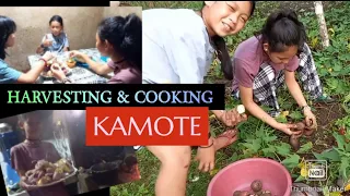 Harvesting & Cooking KAMOTE_(sweet potato) @FRANZRhythm (Chen/Dodz Vlog)😄