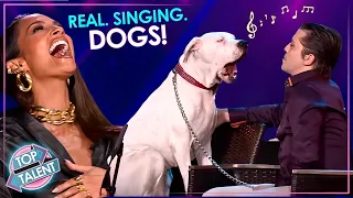 Can Dogs REALLY Sing?