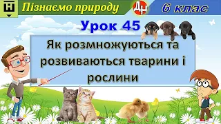 Урок 45. Як розмножуються та розвиваються тварини і рослини