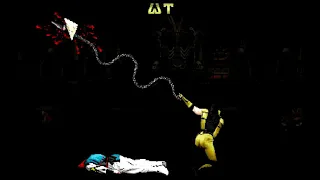 Mortal Kombat 3 - Fan Made Animated Fatalities!! (Done by Weapon Theory)