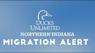 Migration Alert: Northern Indiana