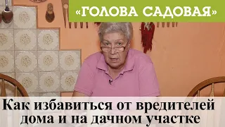 Голова садовая - Как избавиться от вредителей дома и на дачном участке