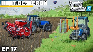 TRIMMING THE VINES AND CORN IS GOING IN! | Farming Simulator 22 - Haut-Beyleron | Episode 17