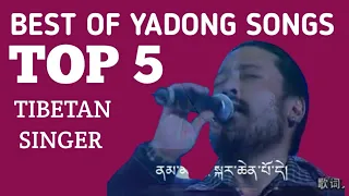 Tibetan Song | Best of Tibetan Singer Yadong | Tibetan Popular song