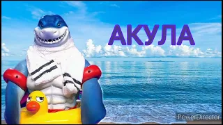 ШОУ МАСКА 5 СЕЗОН 1 ВЫПУСК.АКУЛА - МОРЯЧКА/BABY SHARK