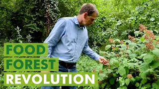 The Food Forest Movement is Spreading Across Europe!