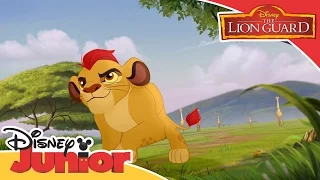 قيادة الأسد الحارس: عودة الزئير | The Lion Guard: Return of the Roar - Sneak Peek