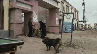 Tibetan Movie Old Dog by Pema Tseden-  Tibetan Mastiff | Dokhyi |  Bhote Kukur | भोटे कुकुर