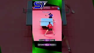 Best Backhand Attacks Fan Zhendong #tabletennis #pingpong #shorts