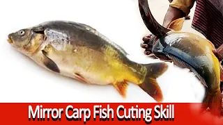 Big Mirror Carp Fish Cutting Skill by Expert. Fish Cutting