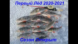 УРА!!! ОТКРЫЛИ ПЕРВЫЙ ЛЁД 2020 - 2021!!! ОКУНЬ НА БЛЕСНУ, КОЗУ И МОРМЫШКУ!!!