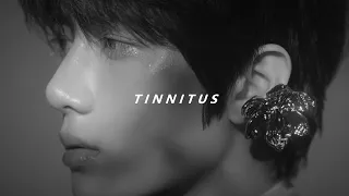 txt - tinnitus (slowed + reverb)