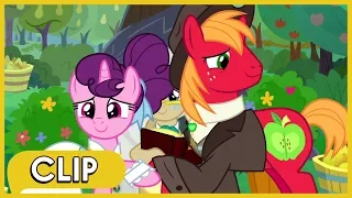 Big Mac and Sugar Belle's Wedding - MLP: Friendship Is Magic [Season 9]