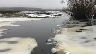 КОЗЫРНОЕ МЕСТО! КОЗЫРНОМУ БРАКОНЬЕРУ!