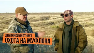 Охота на муфлона  Дневники охотника