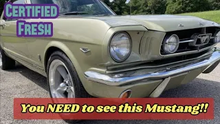 Forget the Rest - You MUST SEE the Best! 1965 Ford Mustang GT #mustanggt
