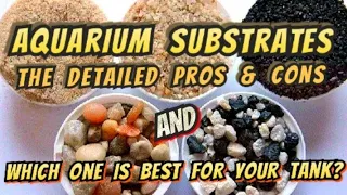 Aquarium Substrates! Which One is Right For You? Pros & Cons of 9 Types of Planted Tank Soil& Gravel