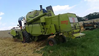 Claas Mercator 60 Ryk silnika Mercedes 6 (Engine Sound)