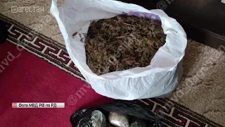 В Дербентском районе изъяли 3 кг марихуаны и 30 кустов культивированной конопли