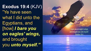 America in Bible Prophecy and Wings of Eagles