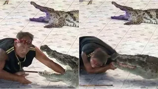 The Worst Alligator Attacks
