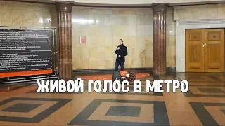 Музыка в метро.Изумительный голос! Николай Рябуха "Мы эхо.."