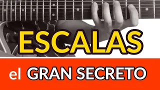 🚨 ASÍ APRENDÍ Todas las ESCALAS de Guitarra...