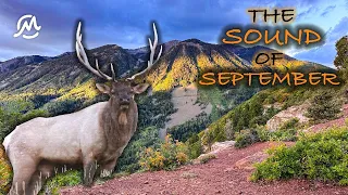 COLORADO RUT HUNT | The Sound of September